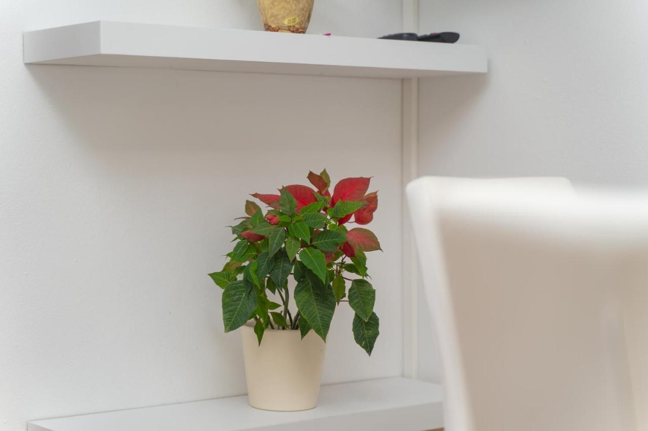 Apartment Divanovic *